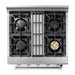 Thor Kitchen Kitchen Appliance Packages Thor Kitchen 30 in. Gas Burner/Electric Oven Range and Range Hood Appliance Package