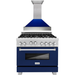 ZLINE Kitchen Appliance Packages ZLINE 36" Professional Gas Range In DuraSnow with Blue Gloss Matte Door & 36" Range Hood Appliance Package 2KP-RGSBGRH36