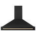 ZLINE Kitchen Appliance Packages ZLINE Autograph Package - 48 In. Gas Range, Range Hood in Black Stainless Steel with Gold Accents, 2AKP-RGBRH48-G