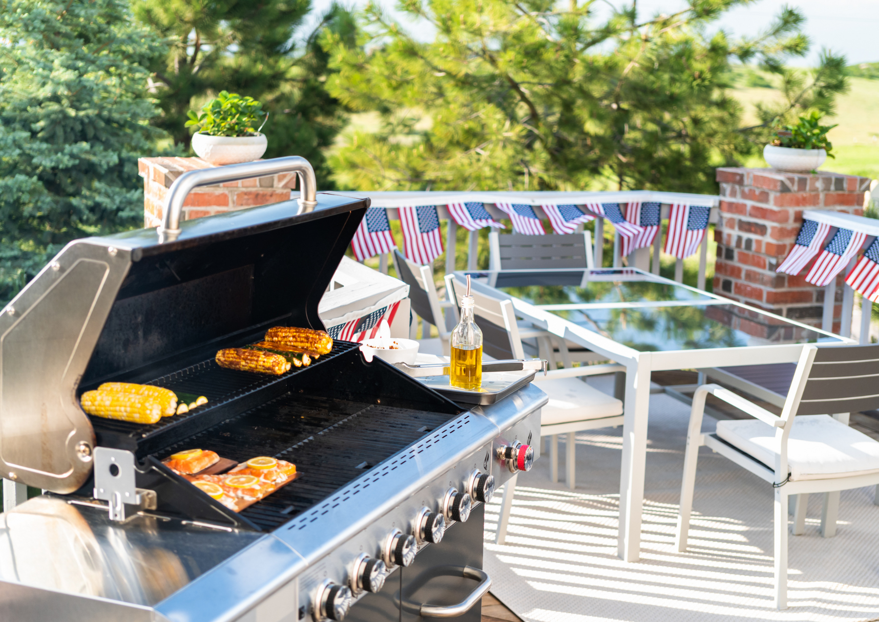 Exploring the World of Outdoor Grills: A Guide to the Different Types