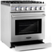 Cosmo 4-Piece, 30" Gas Range, 30" Range Hood, 24" Dishwasher and Refrigerator COS-4PKG-095