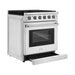 Empava 30 In. Pro-Style Slide-in Single Oven Gas Range 30GR10