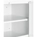 Summit 12 in. H x 18" W x 12" D Wall Unit Cabinet - CAB18