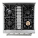 Thor Kitchen 30 in. 4.2 Cu. Ft. Professional Propane Gas Range in Stainless Steel HRG3080ULP