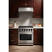 Thor Kitchen 30 in. 4.55 Cu. Ft. Professional Natural Gas Range in Stainless Steel LRG3001U