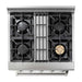 Thor Kitchen 30 in. Natural Gas Burner/Electric Oven Range in Stainless Steel HRD3088U