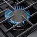 Thor Kitchen Ranges Thor Kitchen 36 in. 6.0 Cu. Ft Professional Natural Gas Range in Stainless Steel LRG3601U