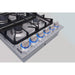 Thor Kitchen Cooktops Thor Kitchen 36 in. Drop-in Natural Gas Cooktop in Stainless Steel TGC3601