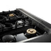 Thor Kitchen Ranges Thor Kitchen 36 in. Natural Gas Burner/Electric Oven Range in Stainless Steel HRD3606U