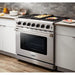 Thor Kitchen 36 In. Propane Gas Range, Range Hood, Refrigerator, Dishwasher Appliance Package