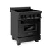 ZLINE 24 In. 2.8 cu. ft. Induction Range with 3 Element Stove and Electric Oven in Black Stainless Steel, RAIND-BS-24