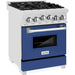 ZLINE 24 In. Professional Gas Range In Stainless Steel With Blue Matte Door, RG-BM-24