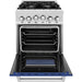 ZLINE 24 In. Professional Gas Range In Stainless Steel With Blue Matte Door, RG-BM-24