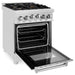 ZLINE 24 Inch 2.8 cu. ft. Range with Gas Stove and Gas Oven in Stainless Steel with Brass Burners RG-BR-24