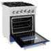 ZLINE Ranges ZLINE 24 Inch Gas Range In DuraSnow Stainless Steel and Blue Matte Door RGS-BM-24