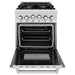 ZLINE 24 Inch Gas Range In DuraSnow Stainless Steel Range RGS-SN-24