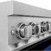 ZLINE Ranges ZLINE 30 In. 4.0 cu. ft. Induction Range with a 4 Element Stove and Electric Oven in Blue Gloss, RAINDS-BG-30