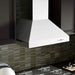 ZLINE 30 in. Professional Convertible Vent Wall Mount Range Hood In Stainless Steel 697-30