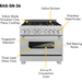 ZLINE 36 in. Dual Fuel Range & 36 in. Range Hood In DuraSnow Appliance Package 2KP-RASSNRH36