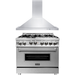 ZLINE 36 in. Gas Range with DuraSnow Door and 36 in. Range Hood Appliance Package 2KP-RGSNRH36