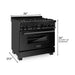 ZLINE 36 in. Kitchen Appliance Package with Black Stainless Steel Gas Range, Range Hood, Microwave Drawer and Dishwasher, 4KP-RGBRH36-MWDW