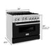 ZLINE 36 in. Professional 4.6 cu. ft. Gas Range In Stainless Steel with Black Matte Door RG-BLM-36