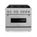 ZLINE 36 in. Professional Dual Fuel Range with Gas Burner and Electric Oven