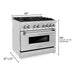 ZLINE 36 in. Professional Dual Fuel Range with Gas Burner and Electric Oven