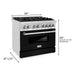 ZLINE 36 in. Professional Dual Fuel Range with Gas Burner and Electric Oven