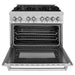 ZLINE 36 in. Professional Dual Fuel Range with Gas Burner and Electric Oven