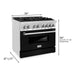 ZLINE Ranges ZLINE 36 in. Professional Dual Fuel Range with Gas Burner and Electric Oven In Stainless Steel RA-BLM-36