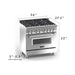 ZLINE Ranges ZLINE 36 in. Professional Dual Fuel Range with Gas Burner and Electric Oven In Stainless Steel with Red Gloss Door RA-RG-36