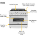 ZLINE 36 in. Professional Dual Fuel Range with Gas Burner and Gas Oven