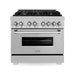 ZLINE 36 in. Professional Dual Fuel Range with Gas Burner and Oven In DuraSnow Stainless with Brass Burners