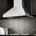 ZLINE 36 in. Professional Ducted Wall Mount Range Hood in Stainless Steel 667-36