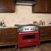 ZLINE Ranges ZLINE 36 in. Professional Gas Range In Stainless Steel with Red Matte Door RG-RM-36