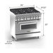 ZLINE 36-Inch Professional Dual Fuel Range In DuraSnow Stainless with Blue Gloss Door RAS-BG-36