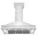 ZLINE 48" Designer Series Wall Mount Range Hood In DuraSnow Stainless Steel 8656S-48