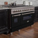 ZLINE 48" Dual Fuel Range with Black Matte Door & 48" Range Hood Appliance Package 2KP-RASBLMRH48