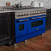 ZLINE Kitchen Appliance Packages ZLINE 48 in. Dual Fuel Range with Blue Matte Door & 48 in. Range Hood Appliance Package 2KP-RASBMRH48