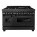 ZLINE Kitchen Appliance Packages ZLINE 48 in. Dual Fuel Range with Brass Burners, Range Hood and Dishwasher Appliance Package In Black Stainless Steel 3KP-RABRH48-DW