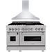 ZLINE 48 in. Dual Fuel Range with DuraSnow Door and 48 in. Range Hood Appliance Package 2KP-RASNRH48