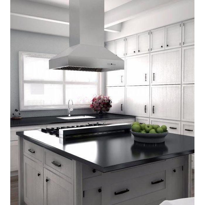 ZLINE 48 in. Ducted Island Mount Range Hood In Outdoor Approved Stainless Steel 697i-304-48