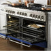 ZLINE 60 In. Professional Dual Fuel Range in Stainless Steel with Blue Matte Door, RA-BM-60