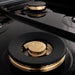 ZLINE Autograph 48 in. Range with Gas Burner, Electric Oven In Stainless Steel with Champagne Bronze Accents RAZ-48-CB