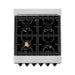 ZLINE Ranges ZLINE Autograph Edition 24 in. Range with Gas Stove and Electric Oven In DuraSnow with White Matte Door and Matte Black Accents RASZ-WM-24-MB