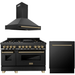 ZLINE Kitchen Appliance Packages ZLINE Autograph Package - 48 In. Dual Fuel Range, Range Hood and Dishwasher in Black Stainless Steel with Champagne Bronze Accents, 3AKPR-RABRHDWV48-CB