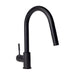 ZLINE Gemini Kitchen Faucet, GEM-KF-MB